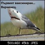 Щракнете върху изображението за по-голям размер

Име:	D9C750D0-9986-400C-BF38-C3162F8F51E2.jpeg
Прегледи:      225
Размер:	44.7 KB
ID:	10646