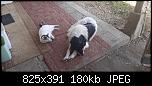 Щракнете върху изображението за по-голям размер

Име:	20221101_110312.jpg
Прегледи:      121
Размер:	180.2 KB
ID:	11735
