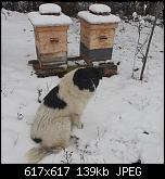 Щракнете върху изображението за по-голям размер

Име:	20230128_094604.jpg
Прегледи:      145
Размер:	139.0 KB
ID:	12004
